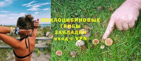 винт Алексеевка