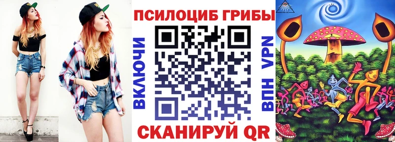 Псилоцибиновые грибы Psilocybine cubensis  Кемь 